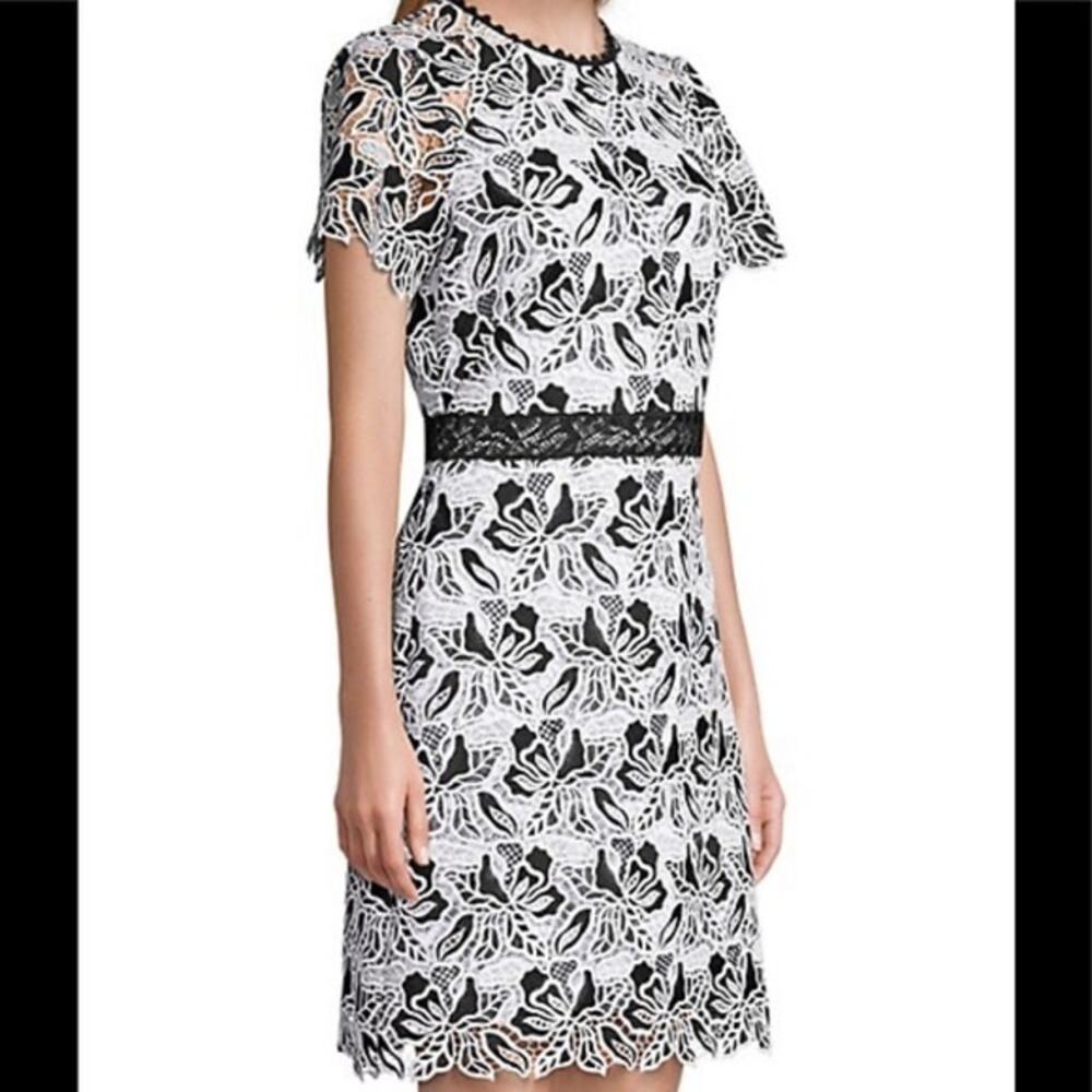 Shoshanna Anthro NWT $380 A-Line Cocktail Dress Sz 4 Astraea Terrace Leaf Lace